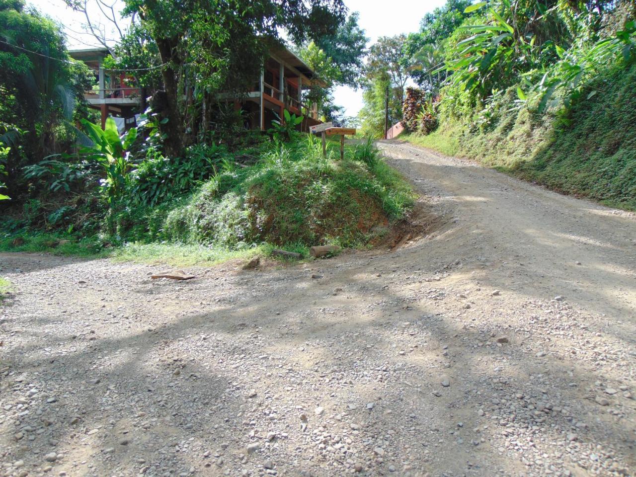 Pez Espada Tours Y Cabinas Drake Bay Exterior photo